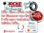 webshop hemsida2